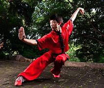Image result for Wushu Martial Arts