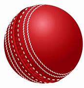 Image result for Cricket Field