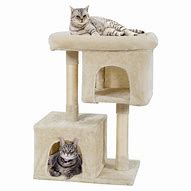 Image result for Cat Tower Toys