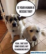 Image result for Is It a Rescue Meme