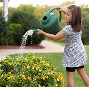 Image result for A Person Watering a Garden