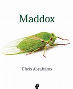 Image result for Maddox