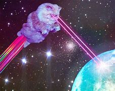 Image result for Space Cat Wallpaper for Laptop
