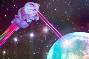 Image result for Space Glasses Cat