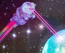 Image result for Galaxy Cat Wallpaper Funny
