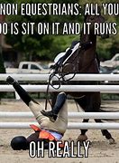 Image result for Horse Looking at Beach Meme