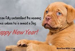 Image result for Funny Dog Happy New Year Wishes