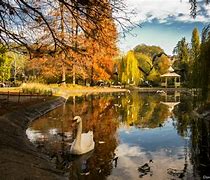 Image result for Dunavski Park Novi Sad