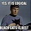 Image result for Black Cat OH No Meme