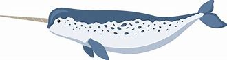 Image result for Narwhal PNG
