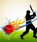 Image result for The Game of Cricket Text