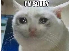 Image result for Cat Apology Meme