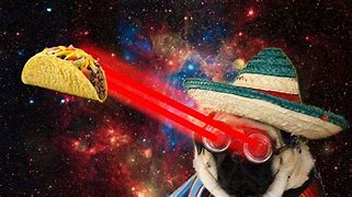 Image result for 1080X1080 Pug Galaxy