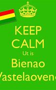 Image result for bienao