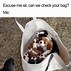 Image result for Cute Puppys Memes 2019