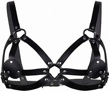 Image result for Chest Harness Bra
