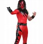 Image result for Best WWE Costumes