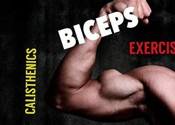 Image result for Calisthenics for Biceps