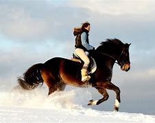 Image result for Horse Riding Wallpaper