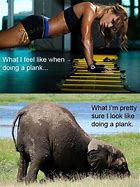 Image result for After Workout Funny Quotes