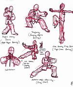 Image result for Imitative Styles of Kung Fu