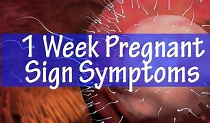 Image result for One Week Pregnancy Signs and Symptoms