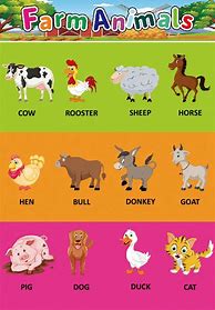 Image result for Farm Animal Science Activities Preschool