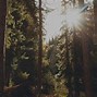 Image result for computer wallpaper aesthetics nature