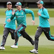 Image result for Cricket Ashes Memes