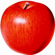 Image result for Apple Clip Art Transparent Background