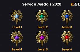 Image result for CS:GO Highest Service Medal