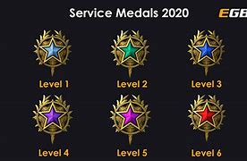 Image result for CS:GO Sevice Medals