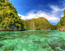 Image result for Tropical Lagoon
