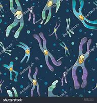 Image result for Y Chromosome Cartoon