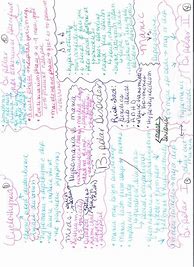 Image result for Bipolar Concept Map