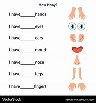 Image result for Parts of the Body Worksheet for Nursery