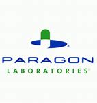 Image result for Paragon Integrated Services Group
