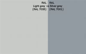 Image result for Primer Gray vs Silver