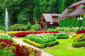 Image result for Beautiful Flower Garden Landscape