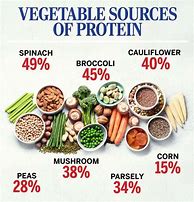 Image result for Best Veg Protein Sources