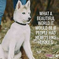 Image result for Husky Dog Quotes