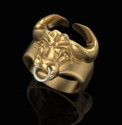 Image result for Bull Ring Accessories