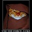 Image result for Grumpy Cat Star Wars