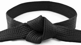 Image result for 6 Sigma Black Belt