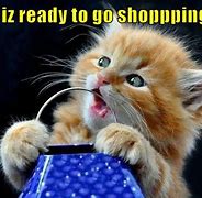 Image result for Shopping Cat Meme