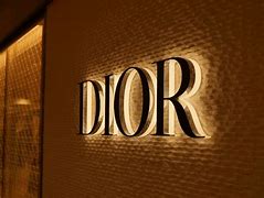 Image result for Dior Lodo