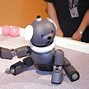 Image result for Aibo Memory Stick