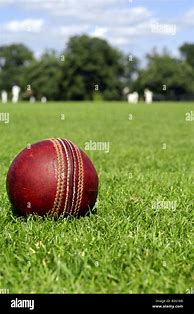 Image result for Cricket Ball