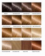 Image result for Hair Color Chart