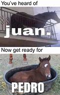 Image result for Another Juan Meme